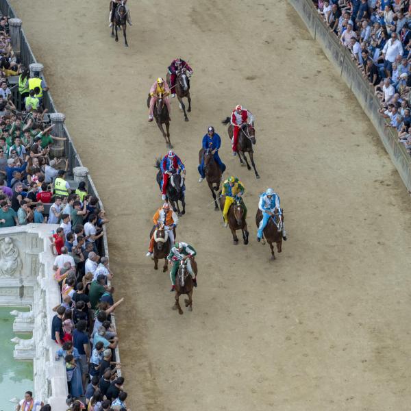 Palio di Siena 16 agosto 2024: dove vederlo in tv e in streaming, biglietti, programma e orari della storica competizione