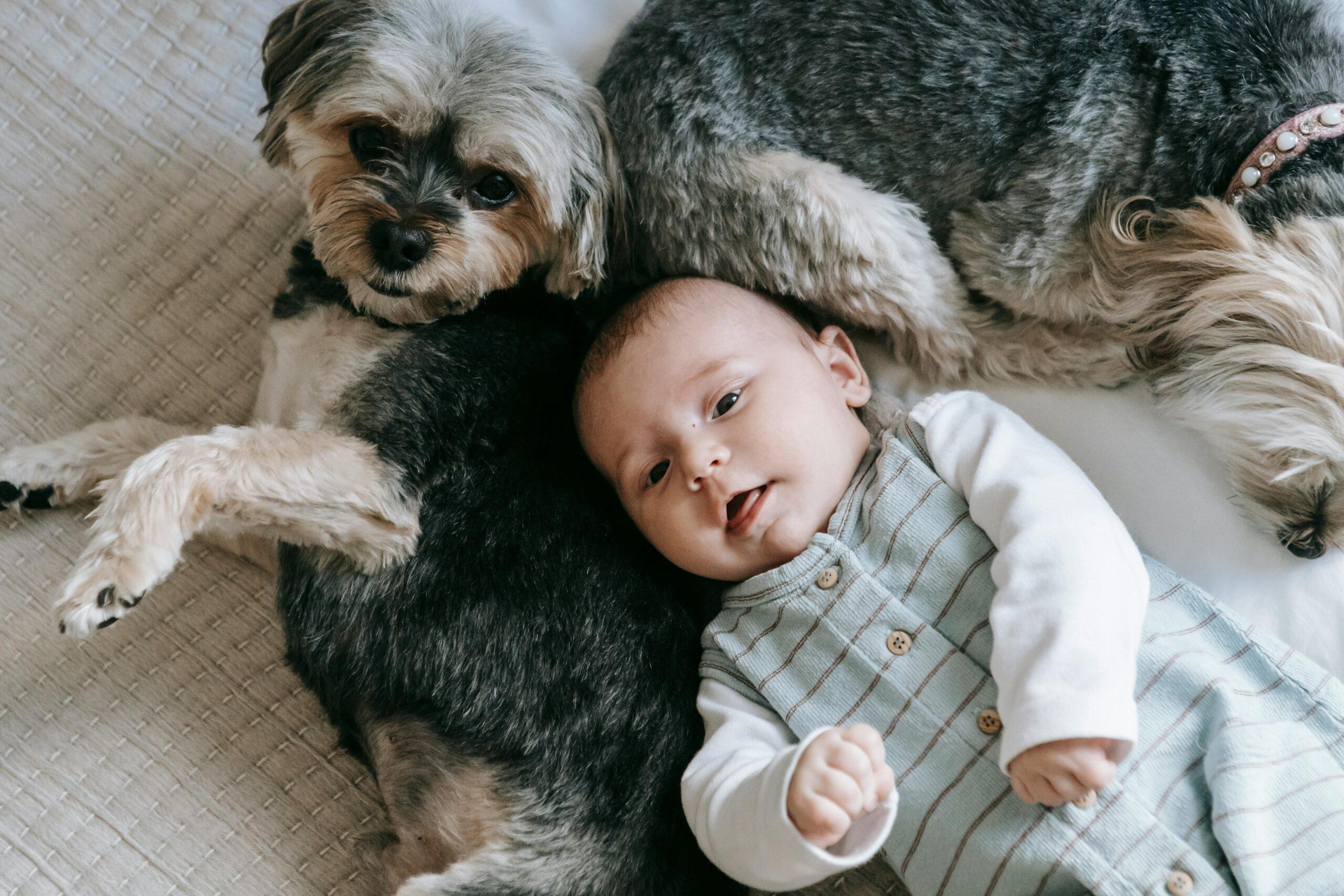 Neonati e animali domestici: come far convivere i “cuccioli” di casa