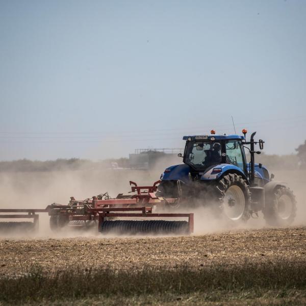 Disoccupazione agricola e ANF: nuovi tracciati per la trasmissione delle domande