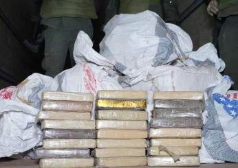 Blitz antidroga a Savona, intercettati e sequestrati 116 kg di cocaina all’interporto di Vado Ligure: introiti stimati per 7 milioni di euro