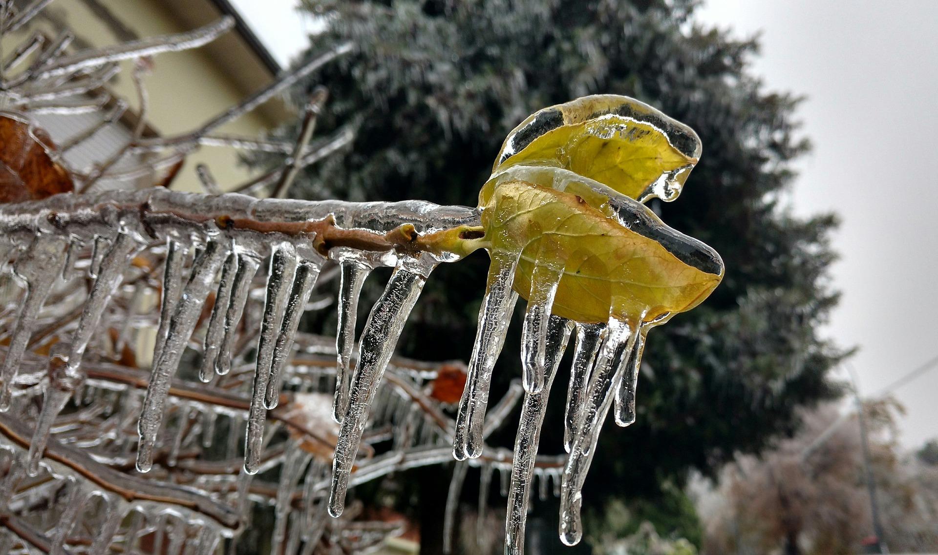 Gelicidio cos’è: significato e cause del fenomeno invernale