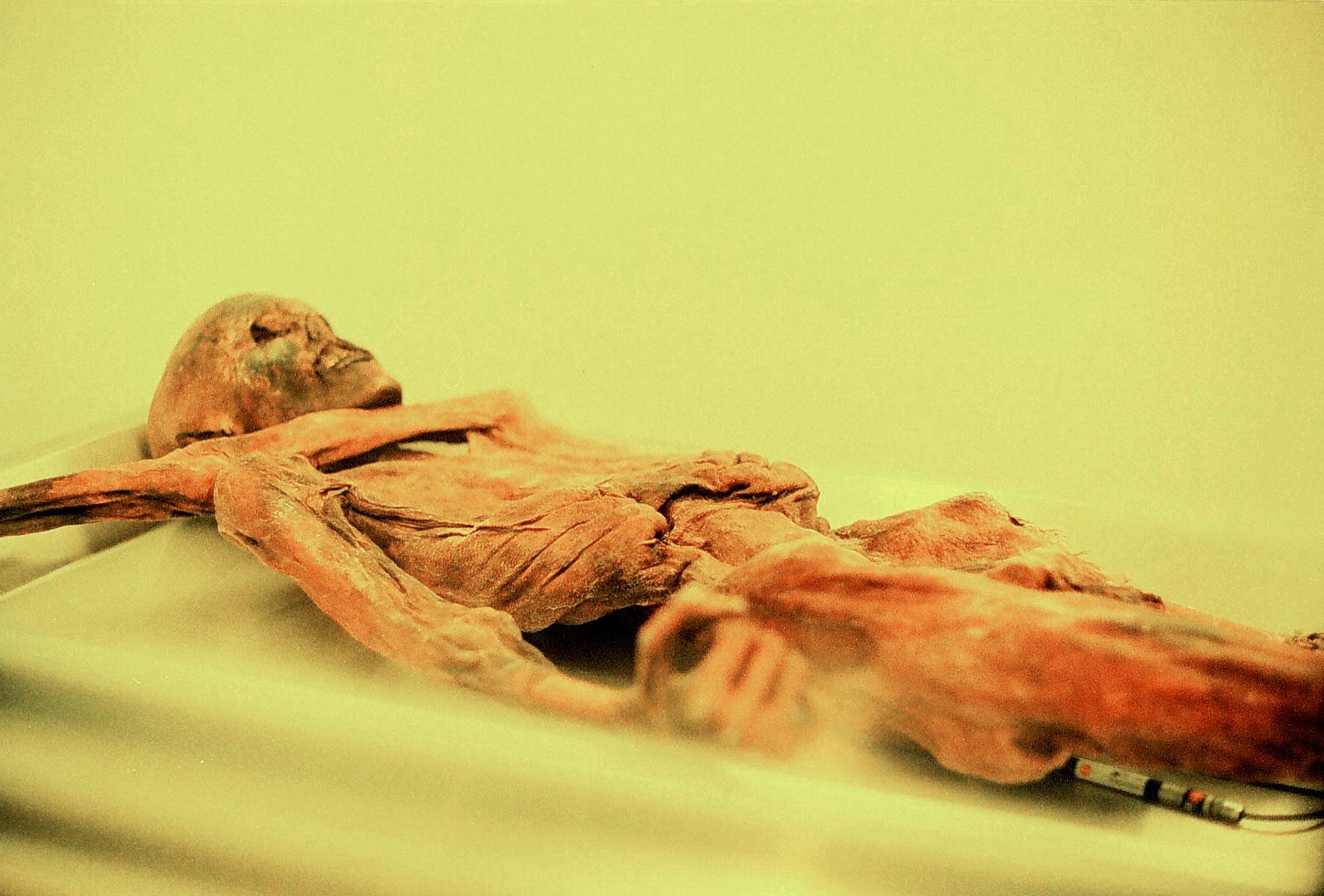 Accadde oggi, 19 settembre 1991: la scoperta Ötzi