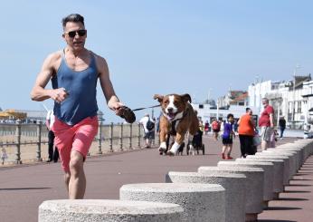 Dog Fitness: che cos’è e come praticarla senza rischi