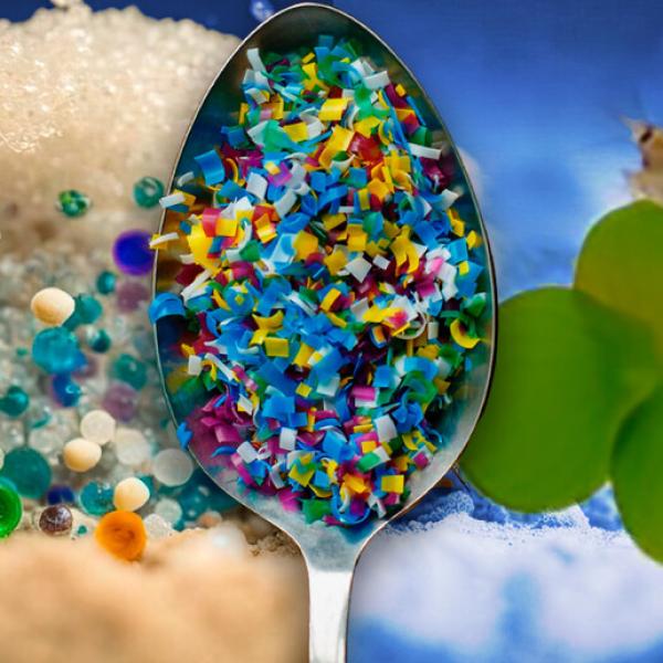 Microplastiche: cosa sono e come alterano gli ecosistemi naturali