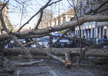 Alberto caduto a Via De Amicis a Milano, tragedia sfiorata e caos i…