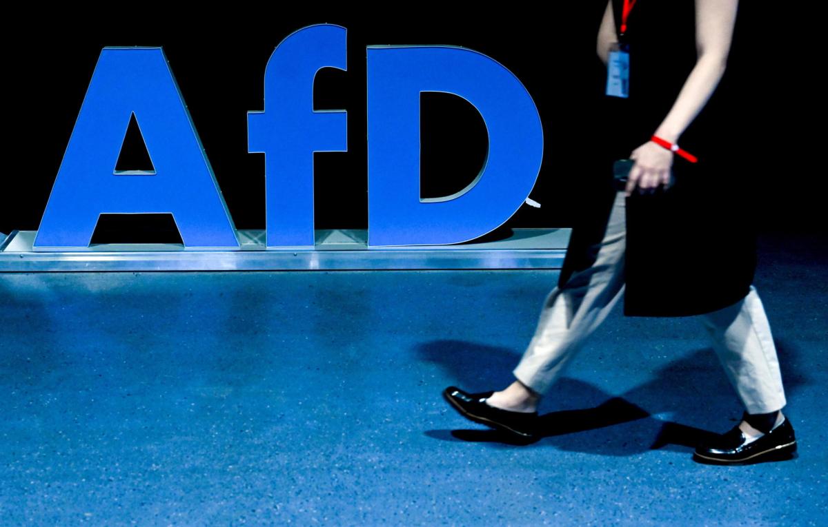 Germania, indagini su leader Afd per uso di linguaggio nazista