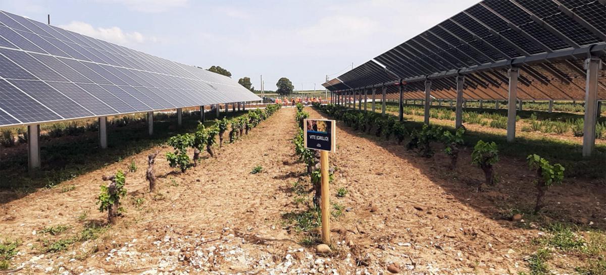 Engie inaugura il più grande parco agrovoltaico d’Italia