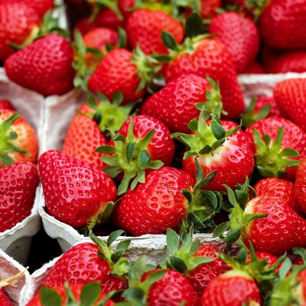 Fragole, ricette da provare assolutamente