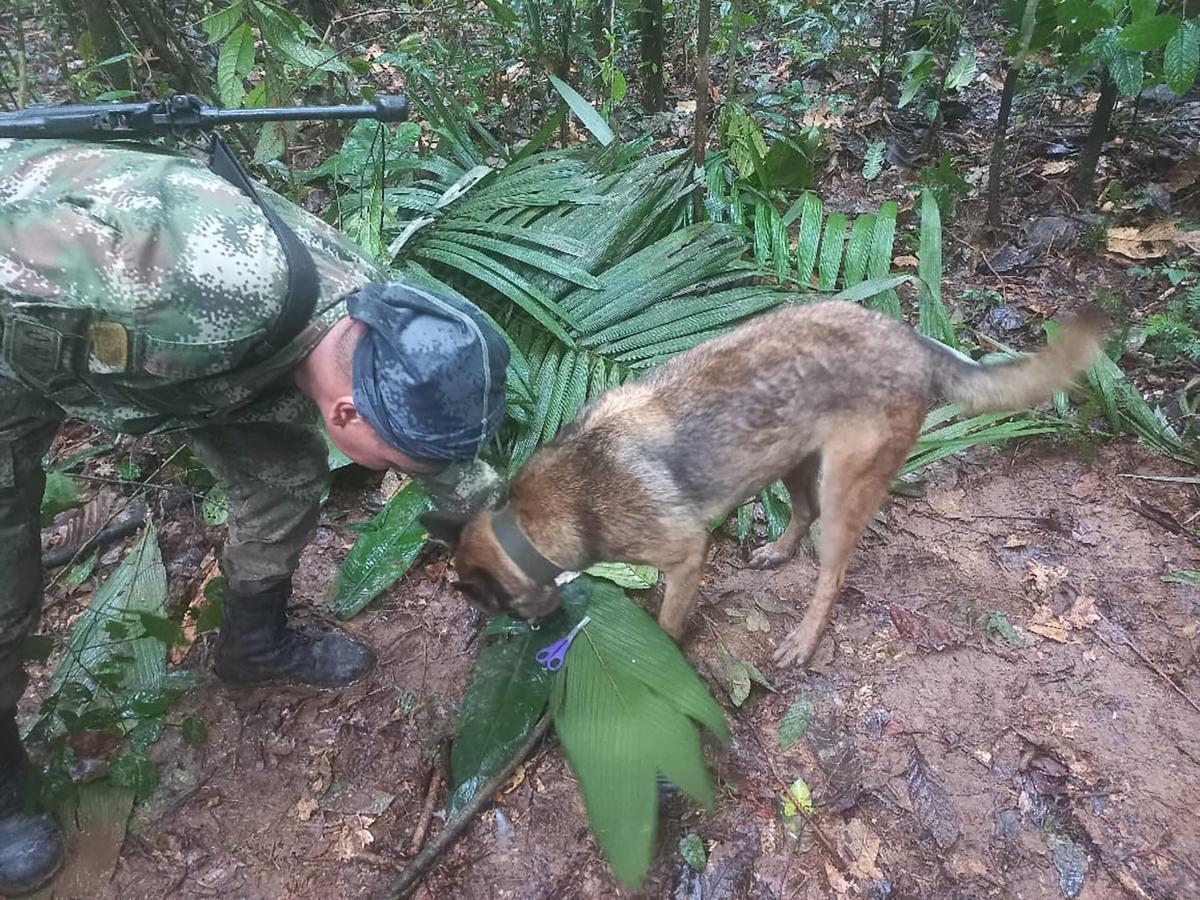 Incidente aereo in Colombia, è giallo sul ritrovamento dei 4 bambin…