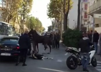 Napoli, cavallo legato a una corda e trainato da un auto in strada a Marano. Il video choc