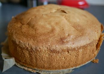 Un dolce super soffice? Ecco la torta al latte caldo, anche al cacao