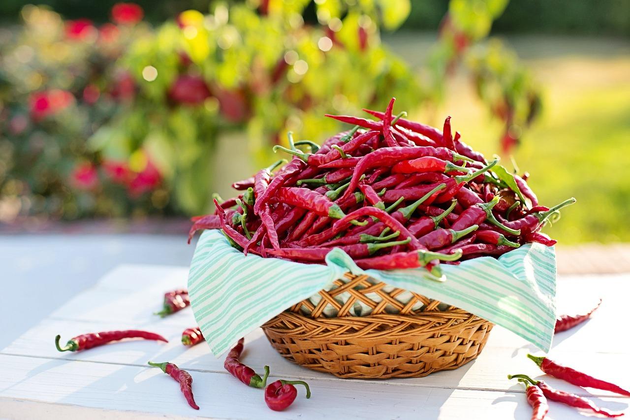 ricette con i peperoni cruschi