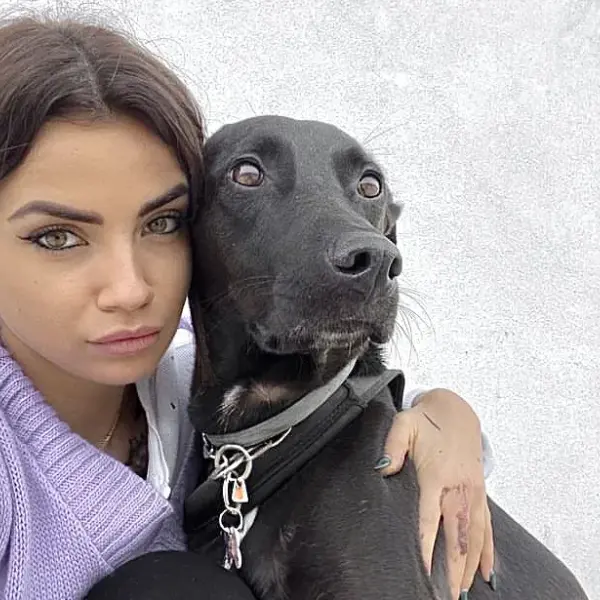 Eleonora Rocchini: come sta il cane Ares? L’influencer pubblica le foto delle fatture