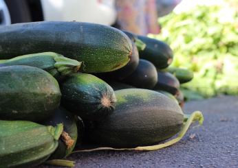 Sapori d’estate: le zucchine in carpione