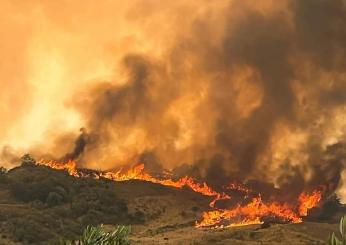 Incendio Grosseto, a Cinigiano ripartiti diversi focolai. Canadair in volo