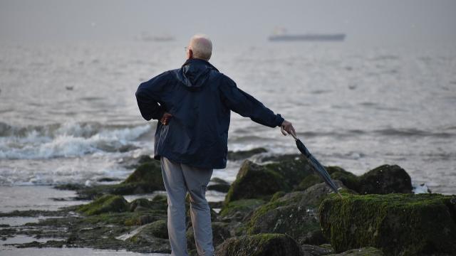 Conguagli e aumenti pensioni 2025: quanto cambia per 10 milioni di pensionati dal 1° gennaio