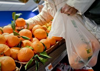 Corte Ue, bocciato il divieto italiano sui sacchetti di plastica monouso: paradosso nell’epoca del Green Deal