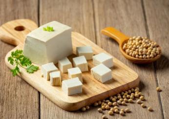 Ecco a cosa fa bene il tofu, se fa ingrassare e quali sono le controindicazioni