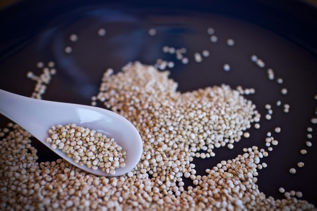 Quinoa: cos’è, perchè mangiarla, come si coltiva e si cucina