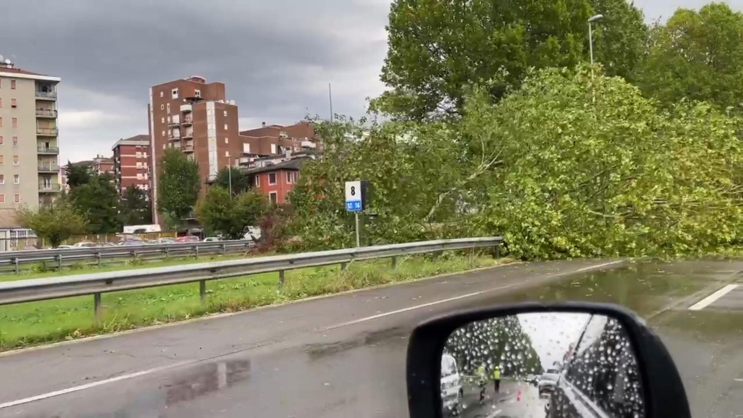 Violento nubifragio a Milano, notte tra 24 e 25 luglio 2023 da incubo: vento, grandine, pioggia, alberi caduti. Cittadini spaventati | VIDEO E FOTO SHOCK