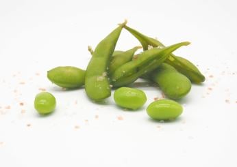 Edamame: cosa sono e come si cucinano