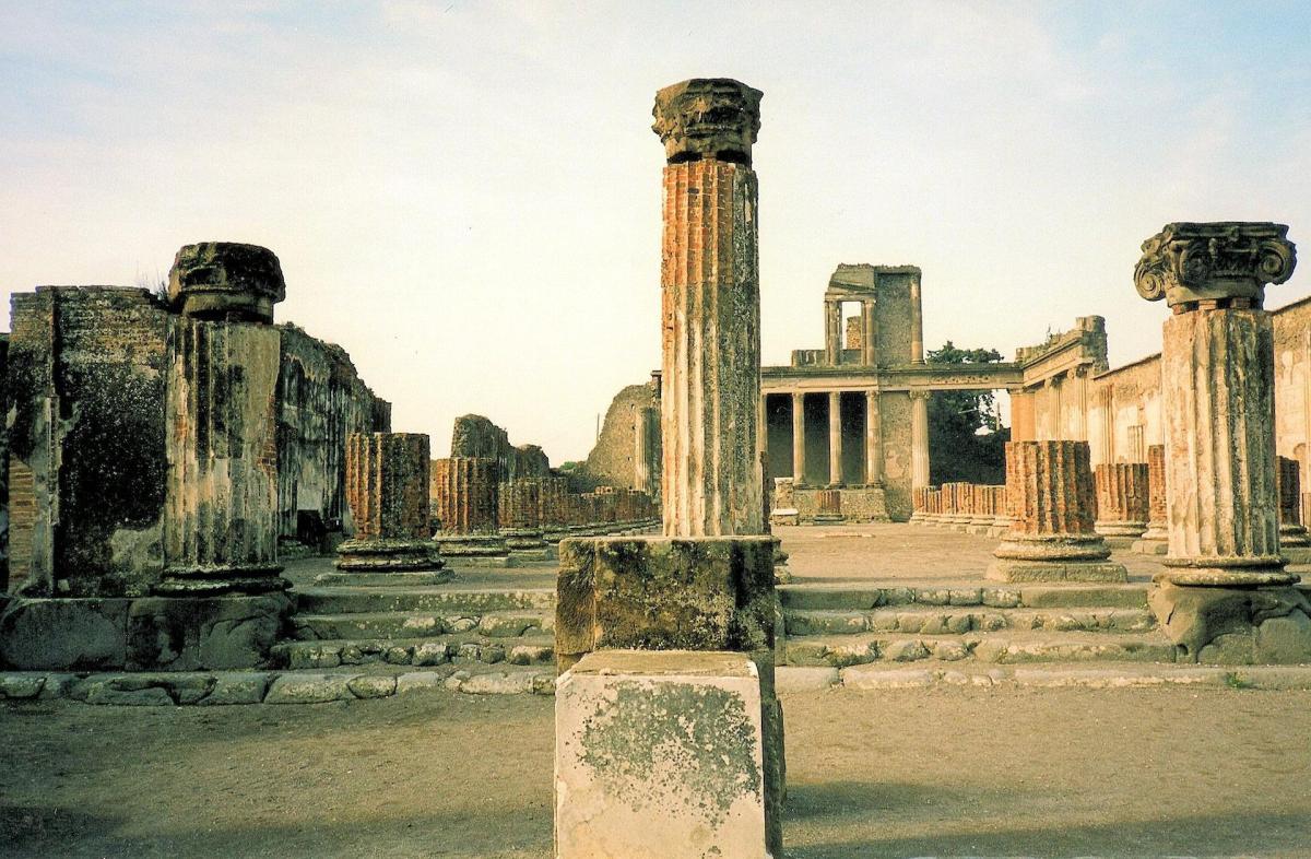 Pompei tartaruga: ritrovata intatta con il suo uovo dopo duemila anni