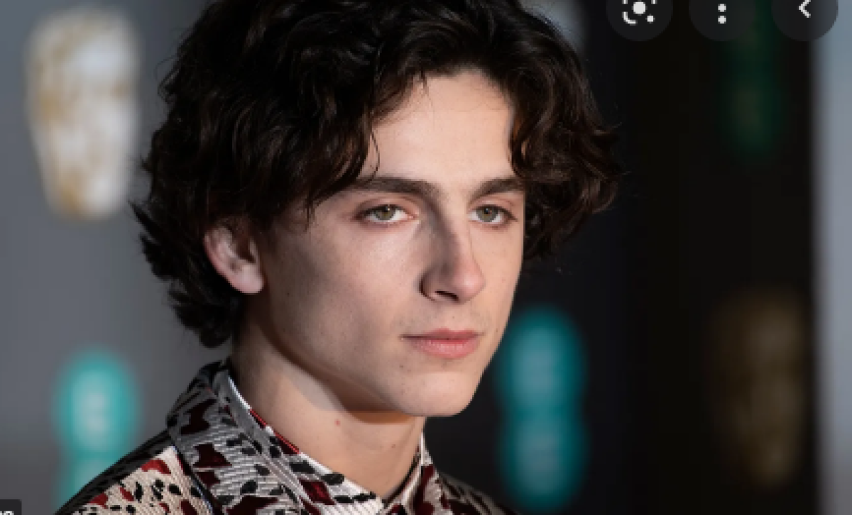 Timothée Chalamet fidanzata, chi è Rebecca Maude