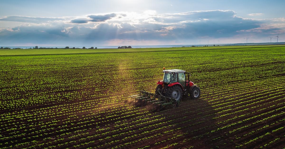 Diversificazione agricola: 5 vantaggi per la biodiversità e la sostenibilità ambientale