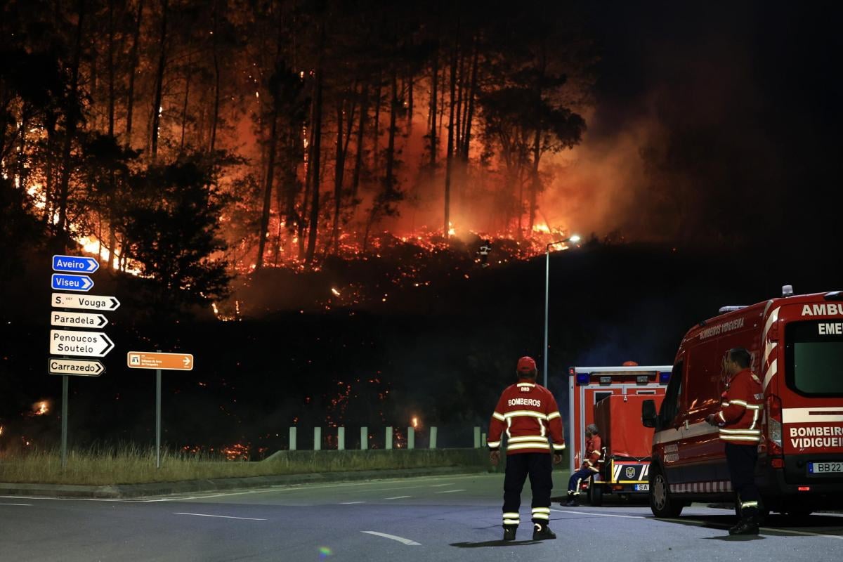 Portogallo, oltre 40 incendi al nord: almeno 7 morti. Il governo dichiara lo stato di calamità | VIDEO