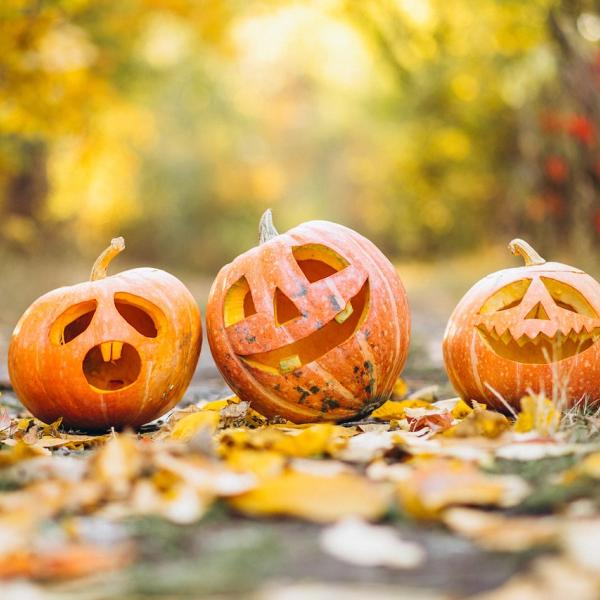 Halloween Milano 2024, cosa fare con i bambini: gli eventi da non perdere