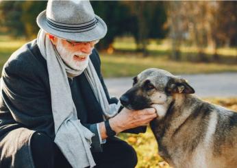 Qual è l’effetto dei cani sulle persone anziane? Ecco i tanti benefici della pet therapy