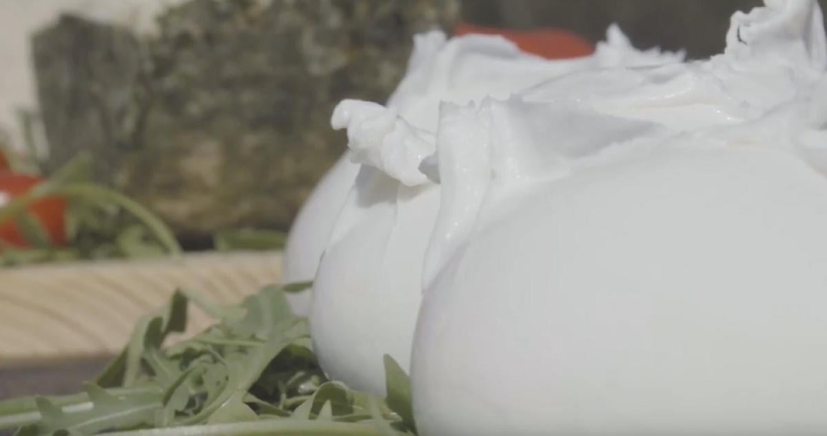 Mozzarella di bufala campana DOP: un orgoglio del Made In Italy