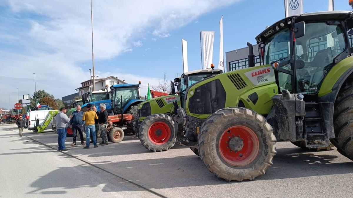 Sondaggi Ipsos ed Euromedia 5-6 febbraio 2024: cosa pensiamo della protesta degli agricoltori