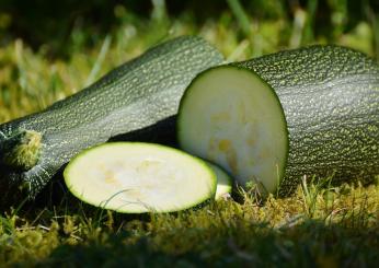 Cucinare le zucchine: 5 ricette facilissime