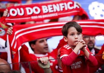 Benfica, la maledizione di Bela Guttman colpisce ancora: di cosa si…