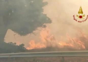 Reggio Calabria, incendio a Vito Inferiore: feriti tre vigili del f…