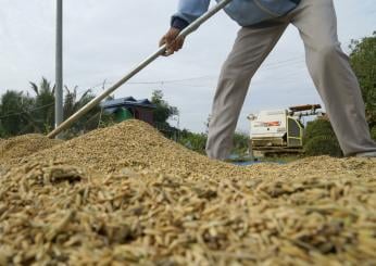 Mantova, tragico incidente sul lavoro a Castiglione Mantovano: morto un agricoltore