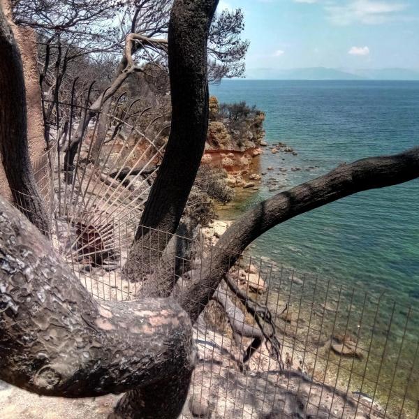 Grecia, ondata di caldo anomalo da domani: le autorità temono incendi, previsti 38° ad Atene giovedì | FOTO