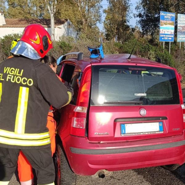 Bergamo, incidente sul lavoro: 23enne travolto da un albero che stava potando a Valgoglio, è in gravi condizioni