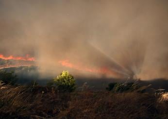 Arrestata la piromane di Follonica? Colta sul fatto  mentre dava fuoco alla vegetazione vicino alle abitazioni