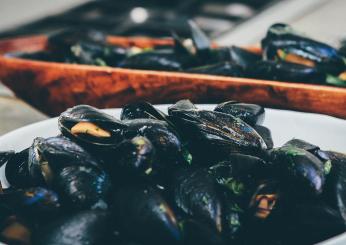 Un mare popolare: ricette con le cozze