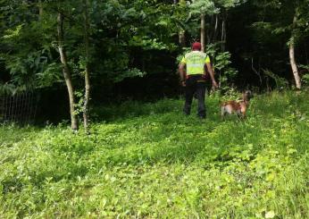 Torino, escursionista 29enne disperso in Val Chisone da sabato 14 ottobre 2023: ricerche in corso