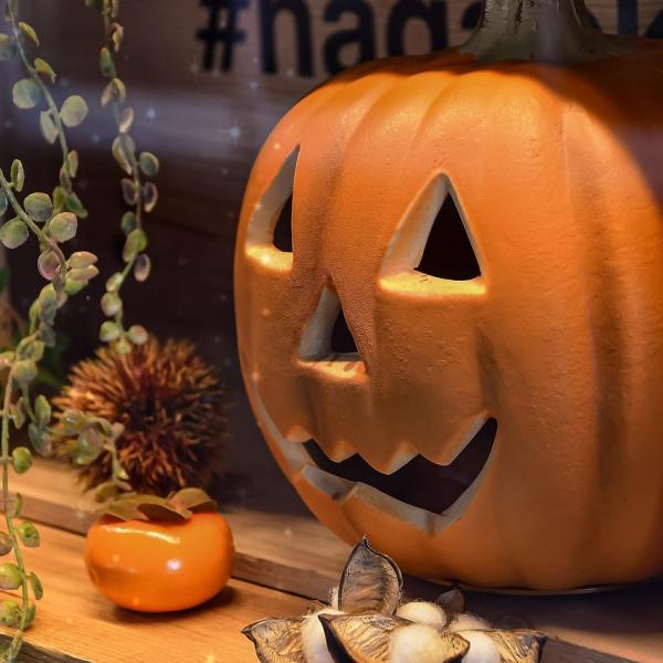 Halloween 2024 Piemonte: cosa fare e dove andare il 31 ottobre