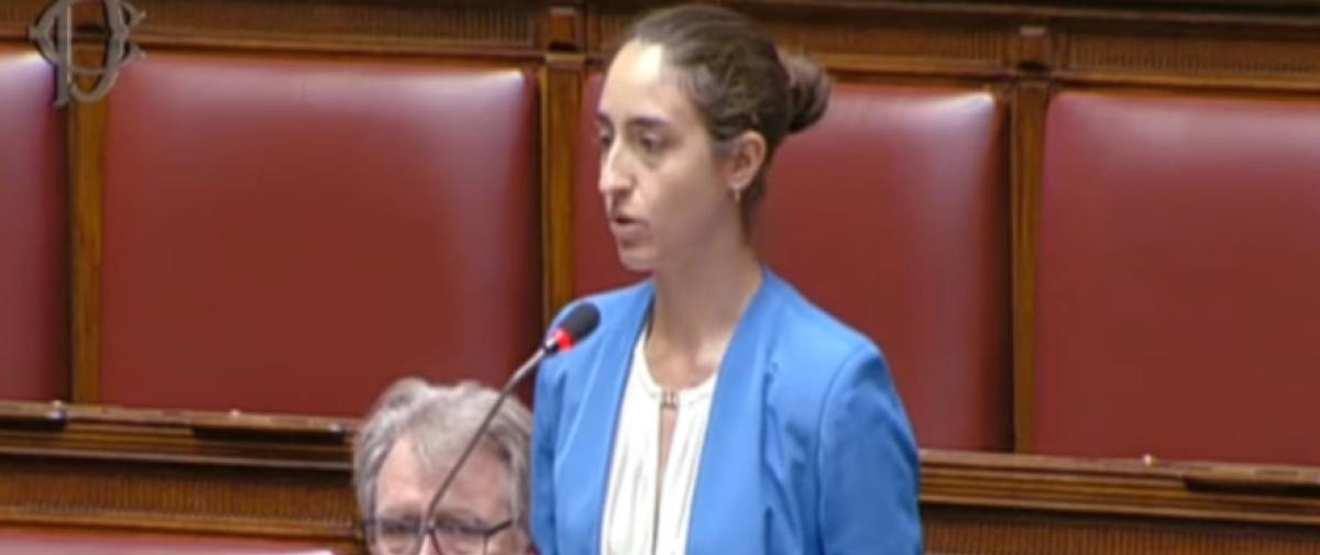 Deputata M5s Ricciardi risponde a Fassino: “Ecco il cedolino di un …