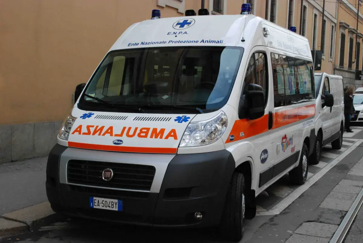 Roma, come sta la bimba aggredita dai cani della nonna ad Anguillara Sabazia: condizioni stazionarie