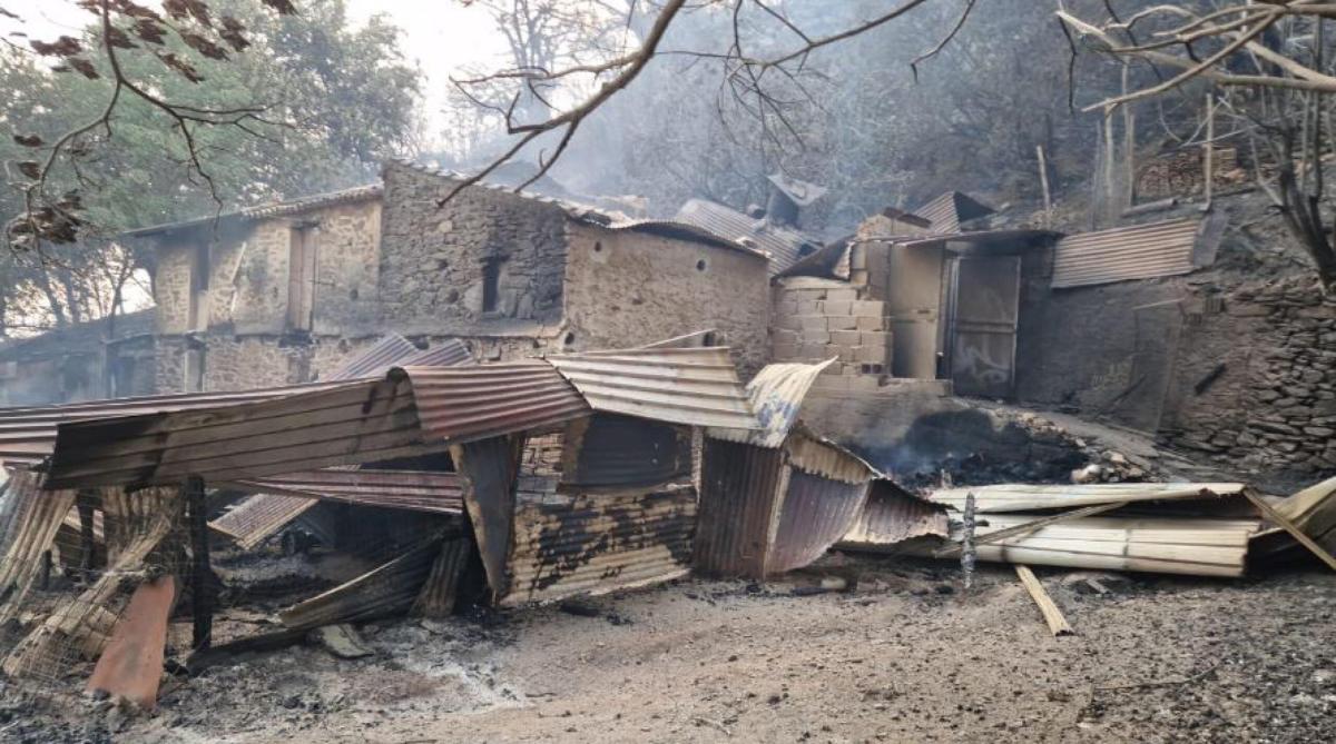 Sud Italia nella morsa dei roghi, fiamme anche in Puglia e Calabria…