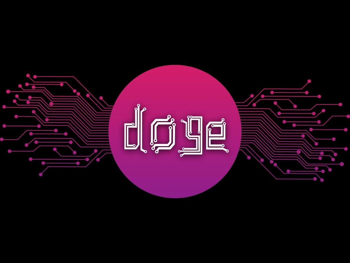 Dogecoin: cos’è, come funziona e come potrebbe andare nel 2024