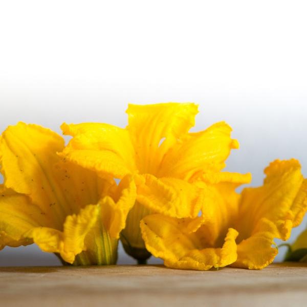 Come si fanno gli sciurilli napoletani, le zeppole di fiori di zucca