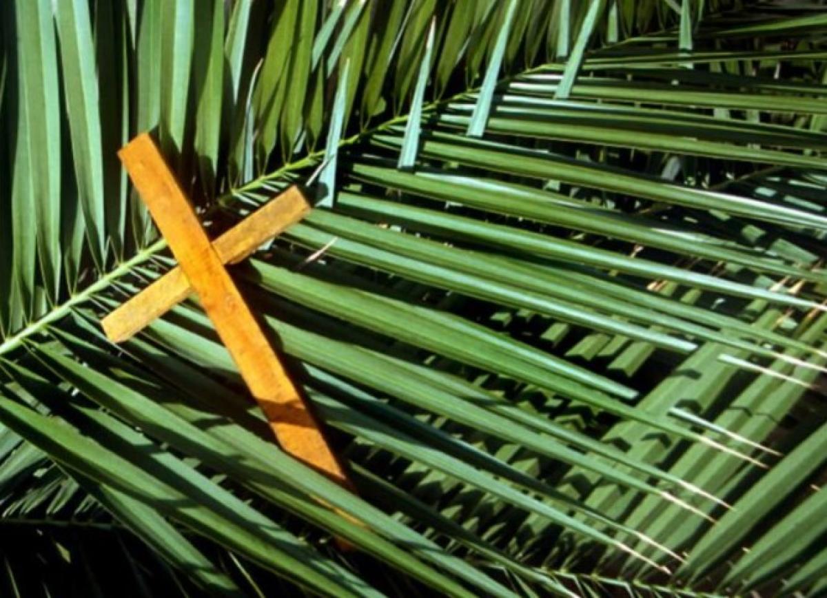 Perch Viene Chiamata La Domenica Delle Palme Storia E Origini Della Festa Religiosa Tag