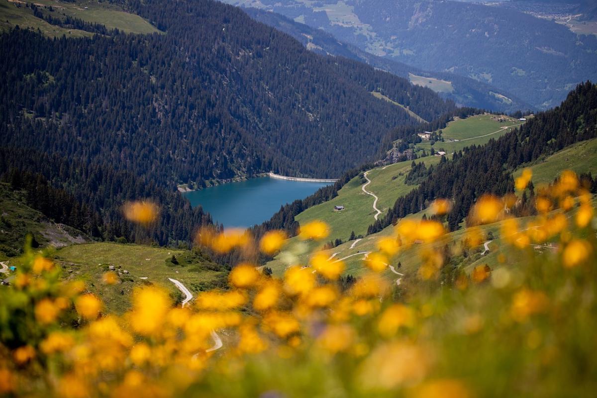 Perché andare alla valle di La Creuse amata da Monet: 5 posti da favola